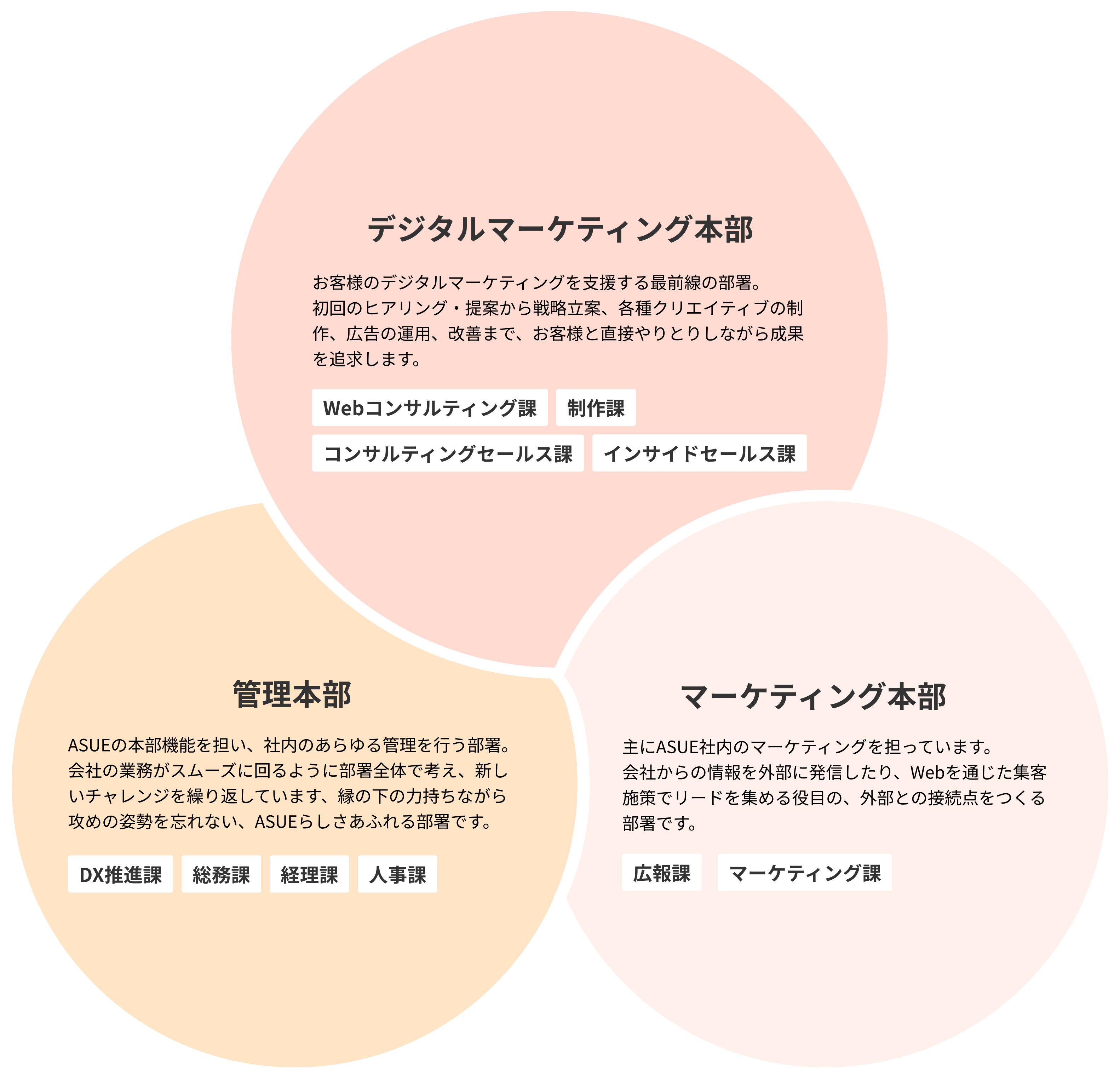 デジタルマーケティング本部・マーケティング本部・管理本部